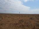 GO_856_F3_pan