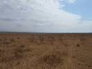 GO_856_F5_1