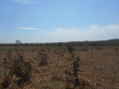 GO_857_F3_pan
