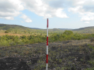 GO_87_F3_pan
