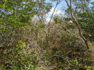 MA_100_F3_pan