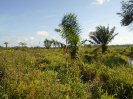 MA_10_F3_pan