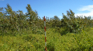 MA_111_F3_pan