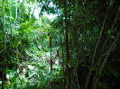 MA_112_F3_pan