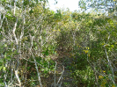 MA_130_F3_pan