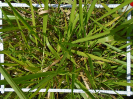 MA_137_F9_2_2