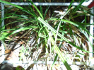 MA_145_F9_4_10