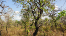 MA_154_F3_pan