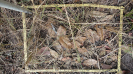 MA_154_F9_1_1