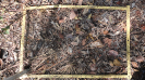 MA_154_F9_1_2