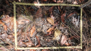 MA_154_F9_2_9