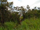 MA_161_F3_pan