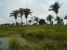 MA_164_F3_pan