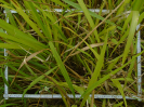 MA_164_F9_1_2
