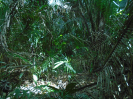 MA_166_F3_pan