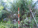 MA_167_F3_pan