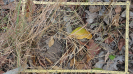 MA_181_F9_2_2