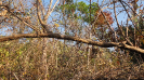 MA_209_F3_pan