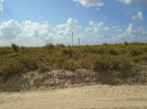MA_211_F3_pan