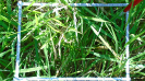MA_217_F9_1_2