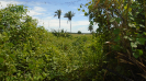 MA_222_F3_pan