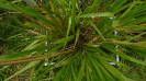 MA_222_F9_1_10