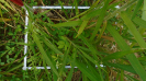 MA_222_F9_2_10