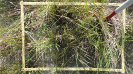 MA_234_F9_2_9