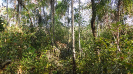 MA_235_F3_pan
