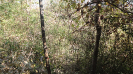 MA_235_F5_1