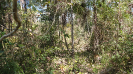 MA_235_F5_3
