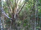 MA_23_F3_pan