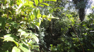 MA_258_F3_pan