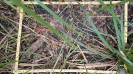 MA_258_F9_1_10