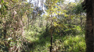 MA_259_F3_pan