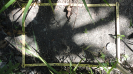 MA_259_F9_1_10