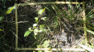 MA_259_F9_2_10