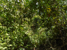MA_264_F5_4