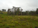 MA_265_F3_pan