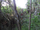 MA_270_F3_pan