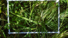 MA_273_F9_2_2