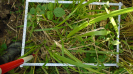 MA_273_F9_2_9