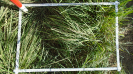 MA_273_F9_3_10