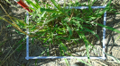 MA_273_F9_3_1