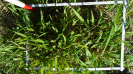 MA_273_F9_4_1