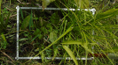 MA_275_F9_2_10