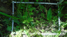 MA_275_F9_2_9