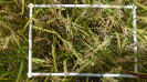 MA_275_F9_3_10