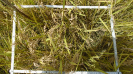 MA_275_F9_3_1