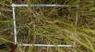 MA_275_F9_3_2
